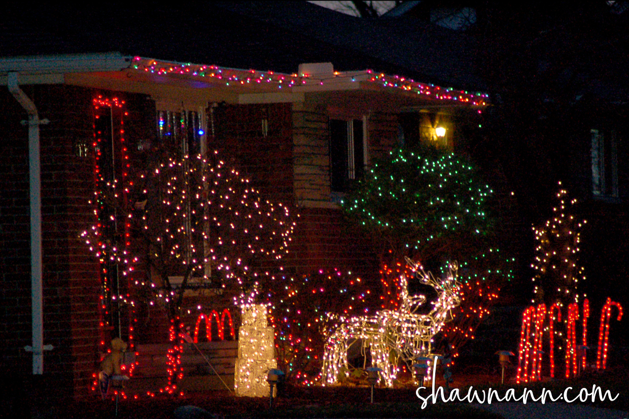 Discover some of the best Christmas light displays in the country at shawnann.com. Your family won’t want to miss at least one of these five grand displays of holiday lights from Florida to California.