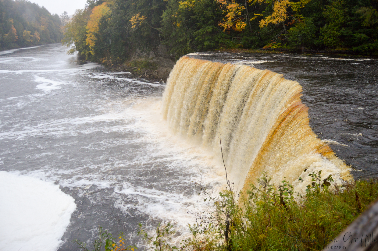 Pictures from our recent trip to the Upper Peninsula of Michigan. We visited the Tahquamenon Falls State Park while there.