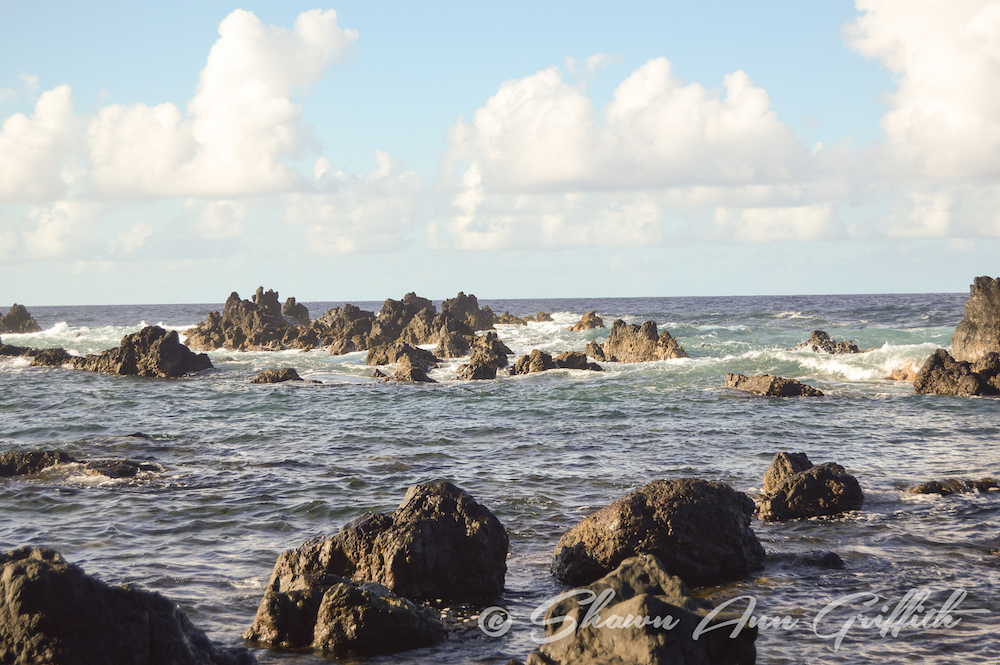 It always seems to amaze me at the beautiful places you can find in Hawai'i. Visiting Laupāhoehoe Point County Park is a little piece of something special.