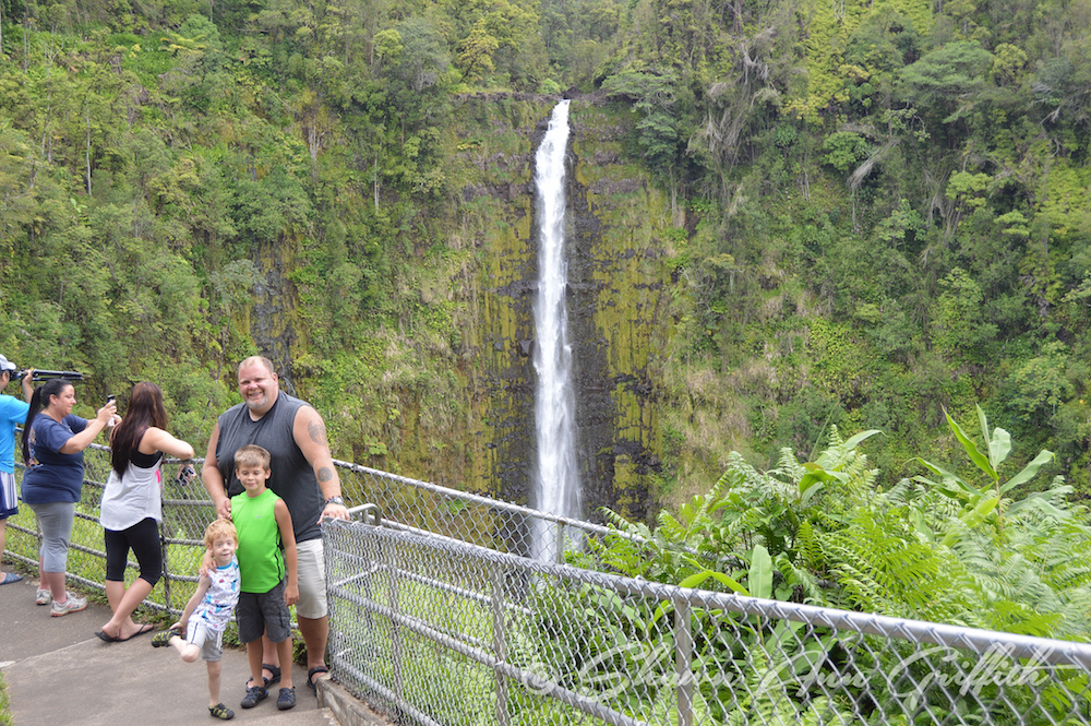 Visiting Akaka Falls State Park will allow you to see the 442 foot Akaka Falls, Hawaii Islands most famous waterfall, but also the 100 foot Kahuna Falls.