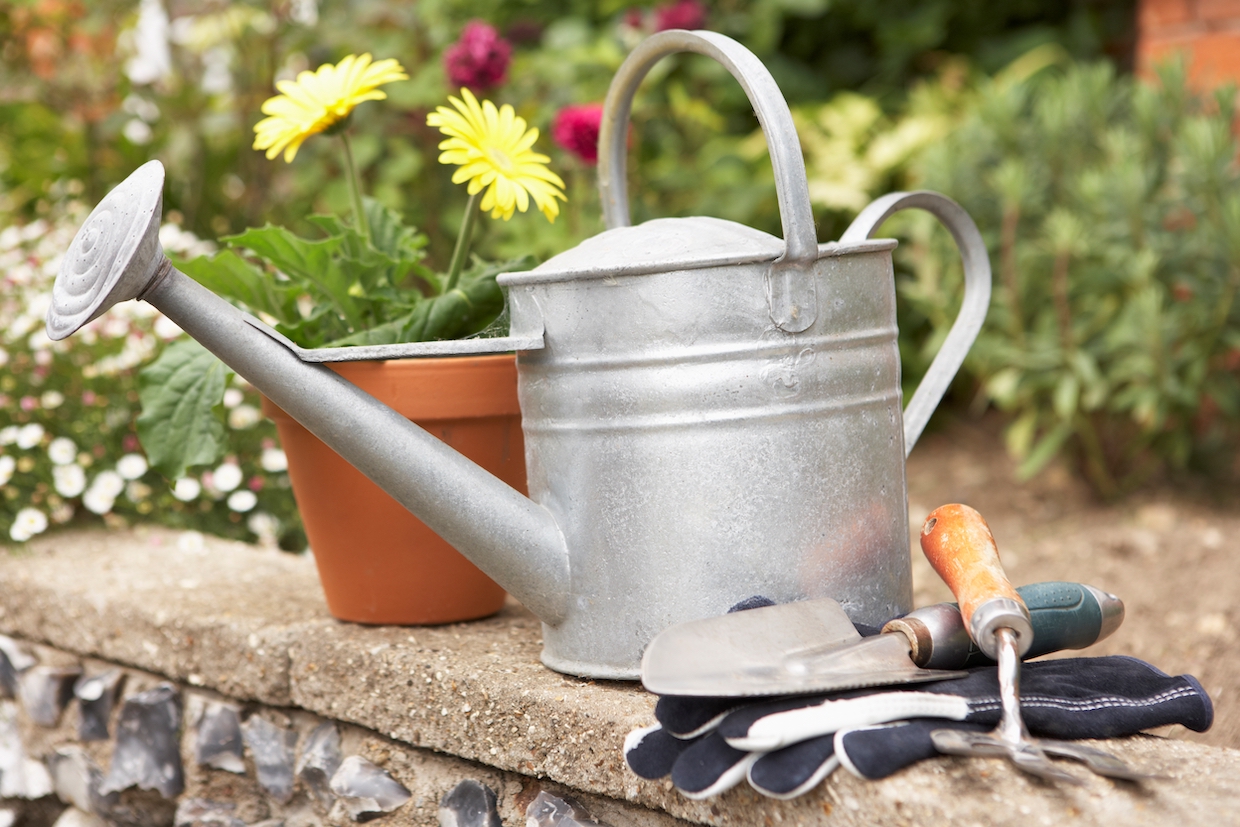 How can there be any simple and quick tips when it comes to gardening? Let me tell you five quick and simple tips for gardening.